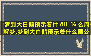 梦到大白鹅预示着什 🐼 么周公解梦,梦到大白鹅预示着什么周公解梦是啥意思